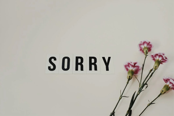 Art of Apologizing When to Say Sorry